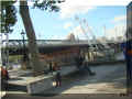 london, tree-bench, bord de Tamise, 10/2008 (128363 octets)