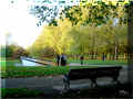 Green Park, London, UK, 10/2008 (125629 octets)