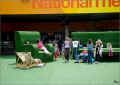 giant-green-bench_queen-s-walk_london_07/2009 (353293 octets)