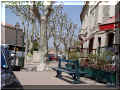 Saint-Rmy de Provence, 13,  04/2006 (100253 octets)