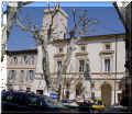 Saint-Rmy de Provence, 13,  04/2006 (98616 octets)