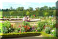 versailles_petit_trianon_jardins, 07/2008 (114229 octets)