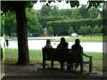  parc du châtrau de  Versailles, 07/2008 (129126 octets)