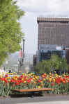 fontaine de tourny_colline, 2009 (299706 octets)